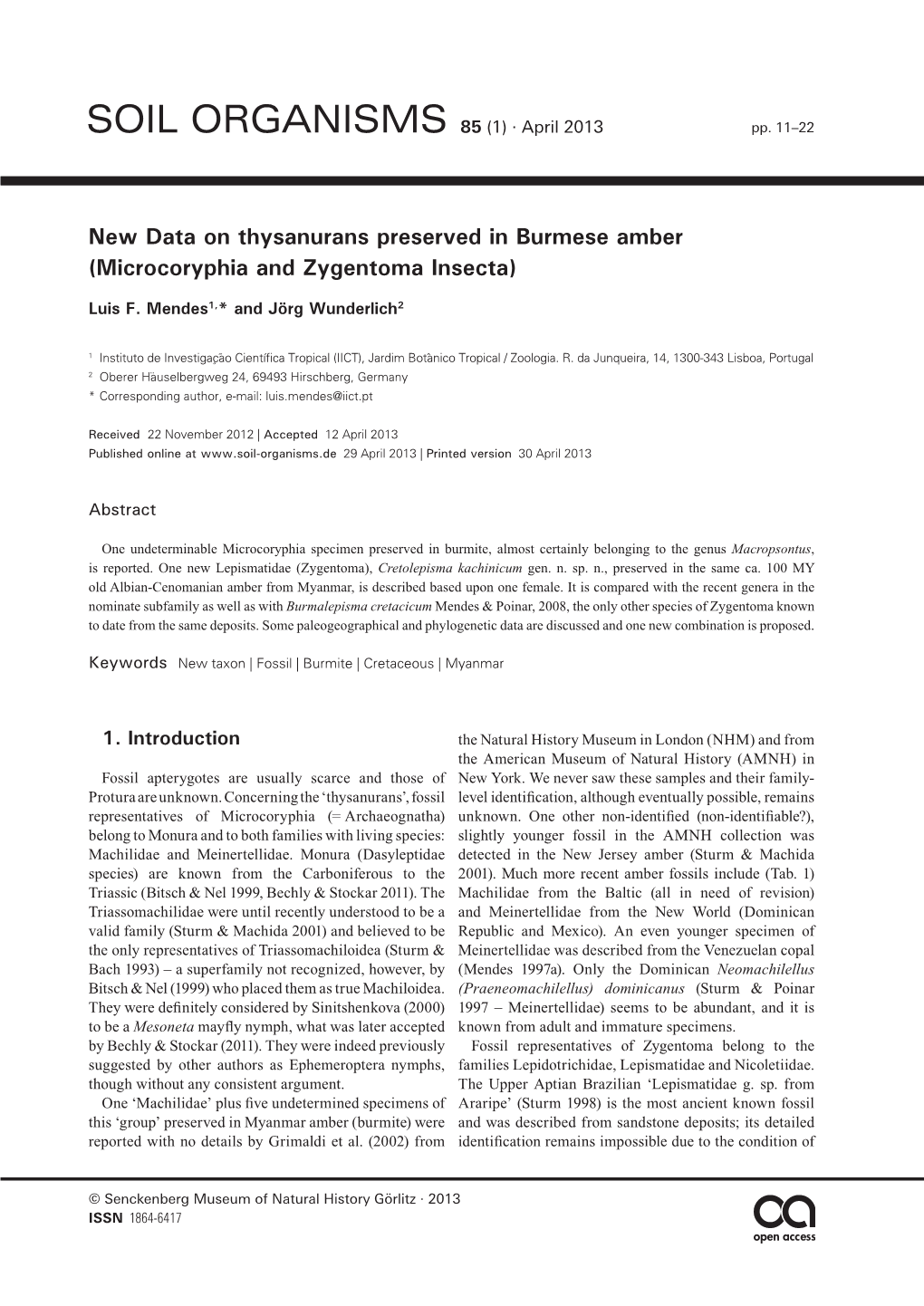 New Data on Thysanurans Preserved in Burmese Amber (Microcoryphia and Zygentoma Insecta)