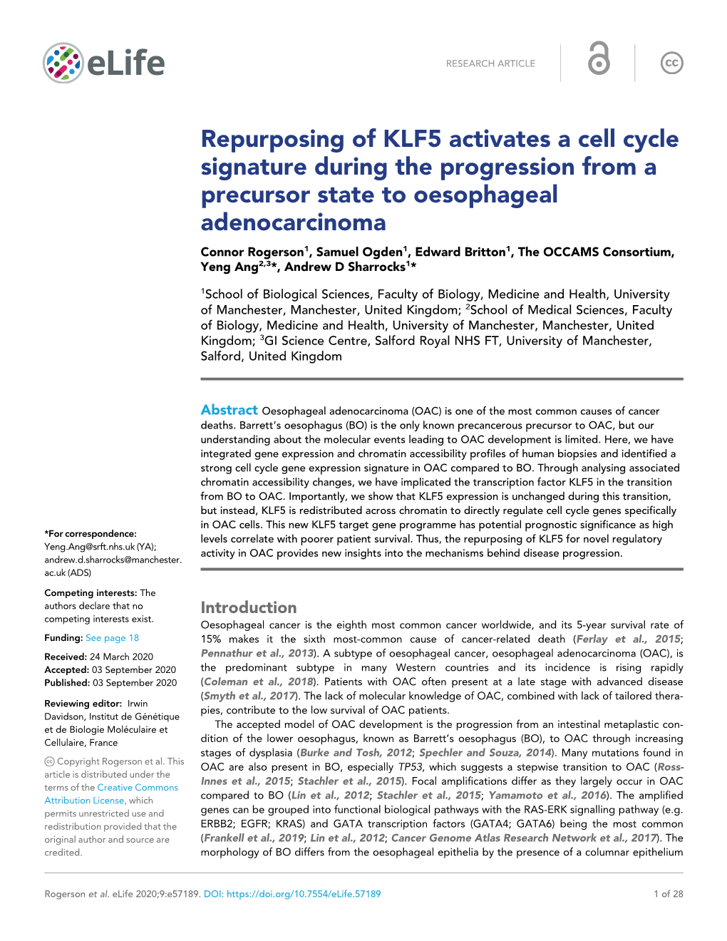 Repurposing of KLF5 Activates a Cell Cycle Signature During The