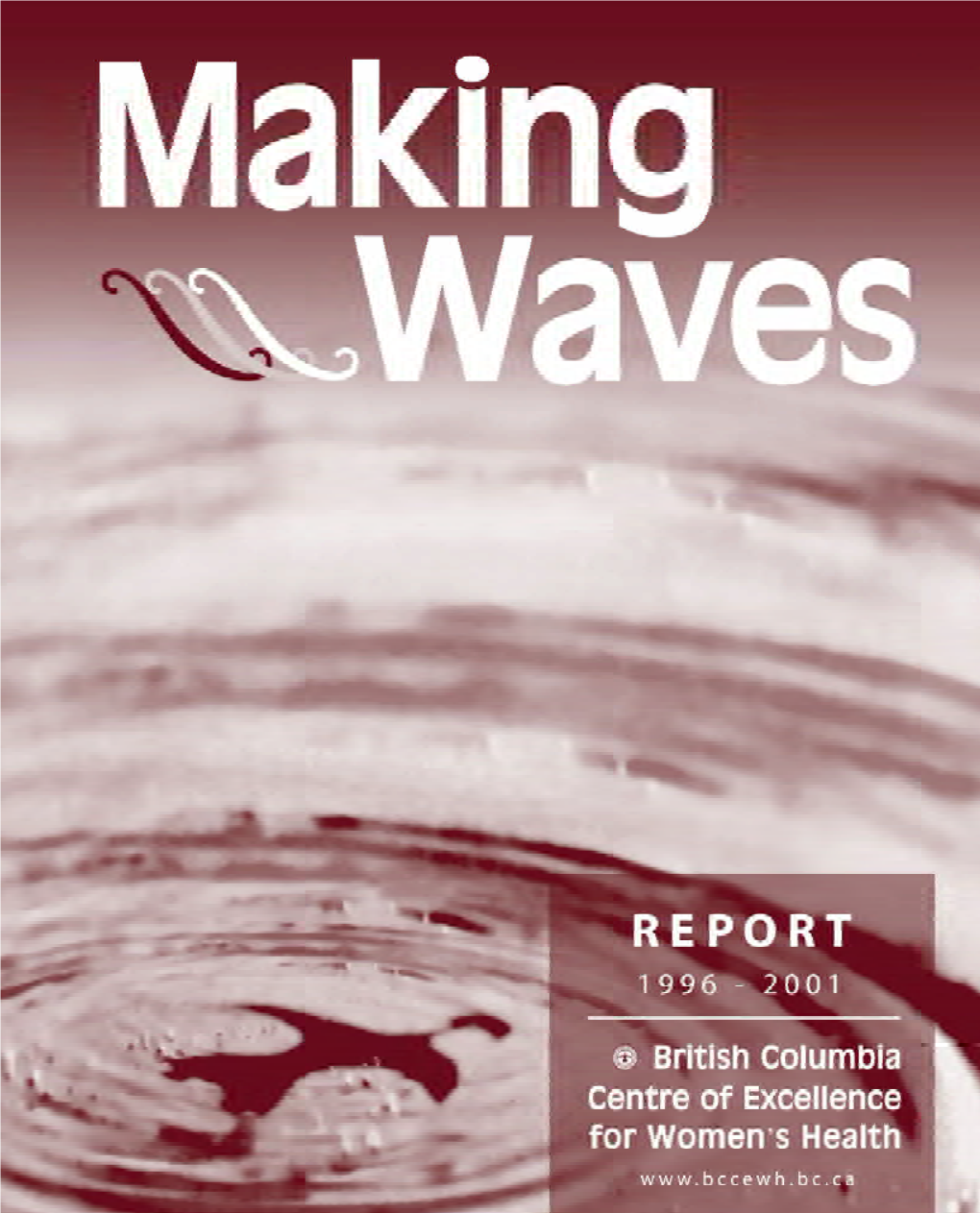 Making Waves 1996-2001-Sized.Pdf