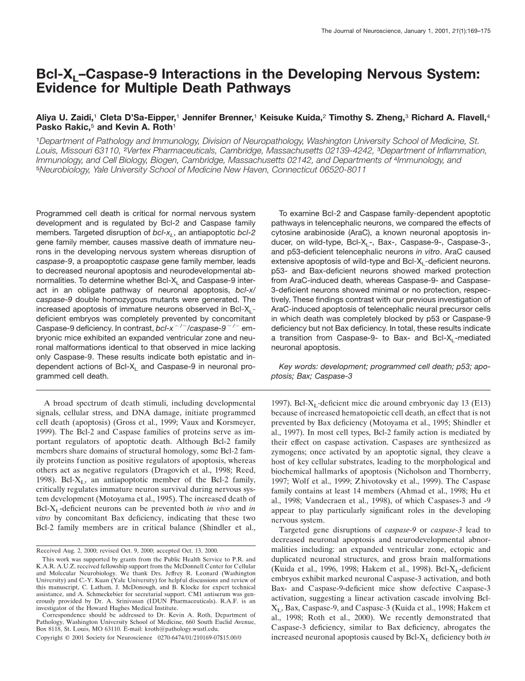 Bcl-XL–Caspase-9 Interactions in the Developing Nervous System: Evidence for Multiple Death Pathways