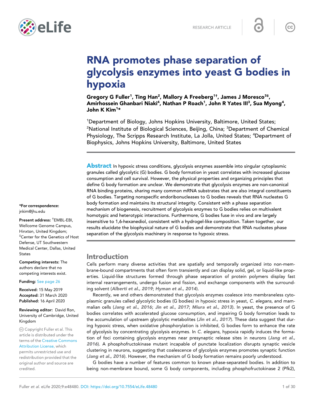 RNA Promotes Phase Separation of Glycolysis Enzymes Into