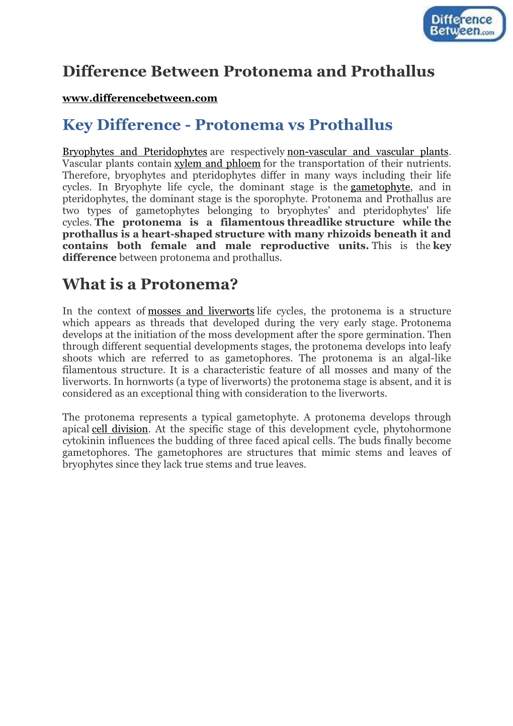 Difference Between Protenema and Prothallus