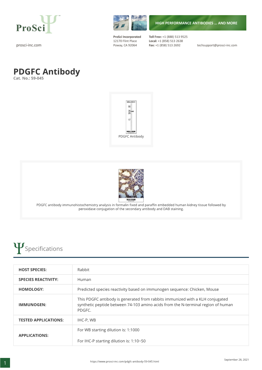 PDGFC Antibody Cat