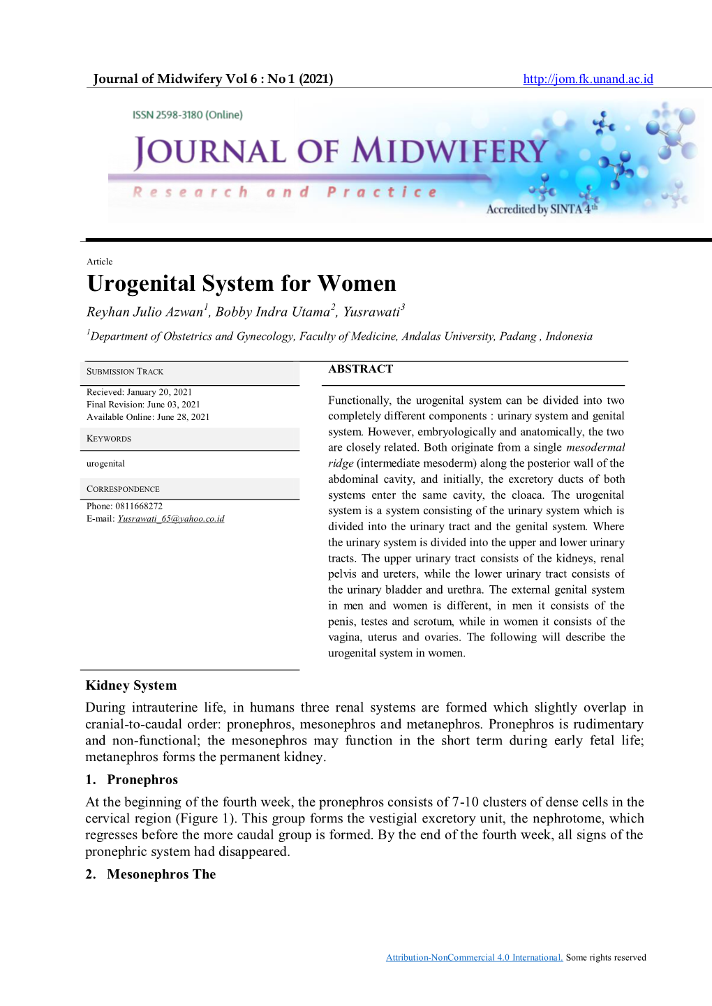 Urogenital System for Women