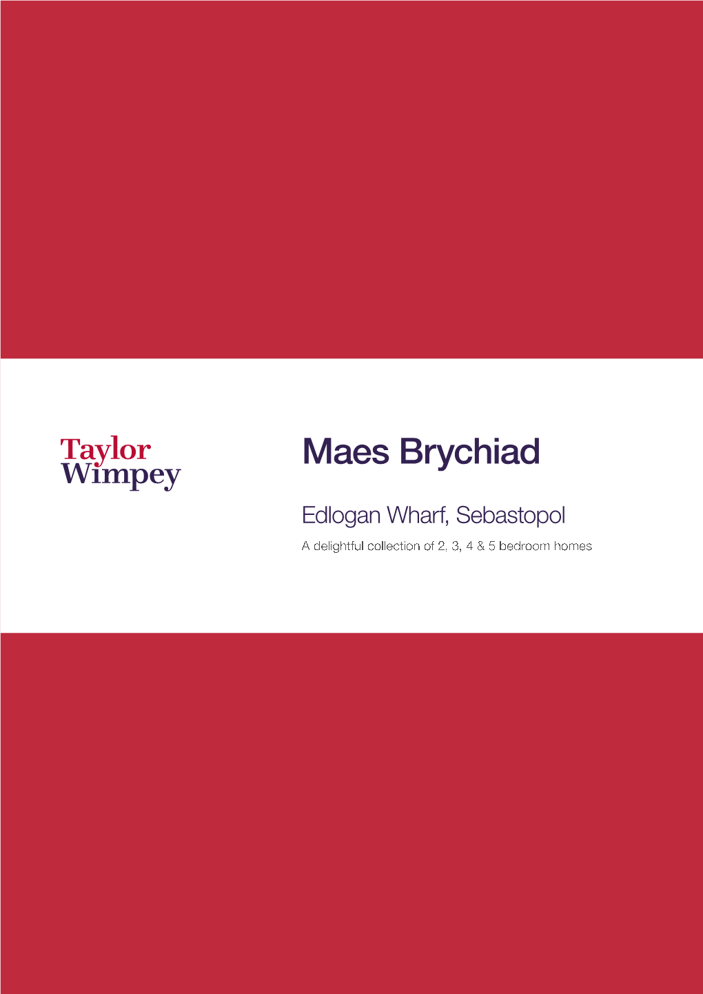 Maes Brychiad