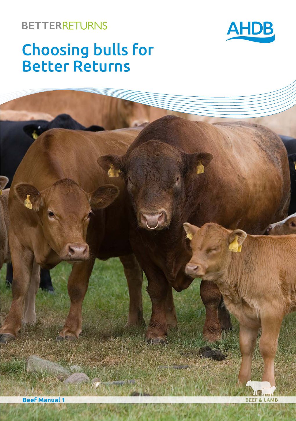 Choosing Bulls for Better Returns