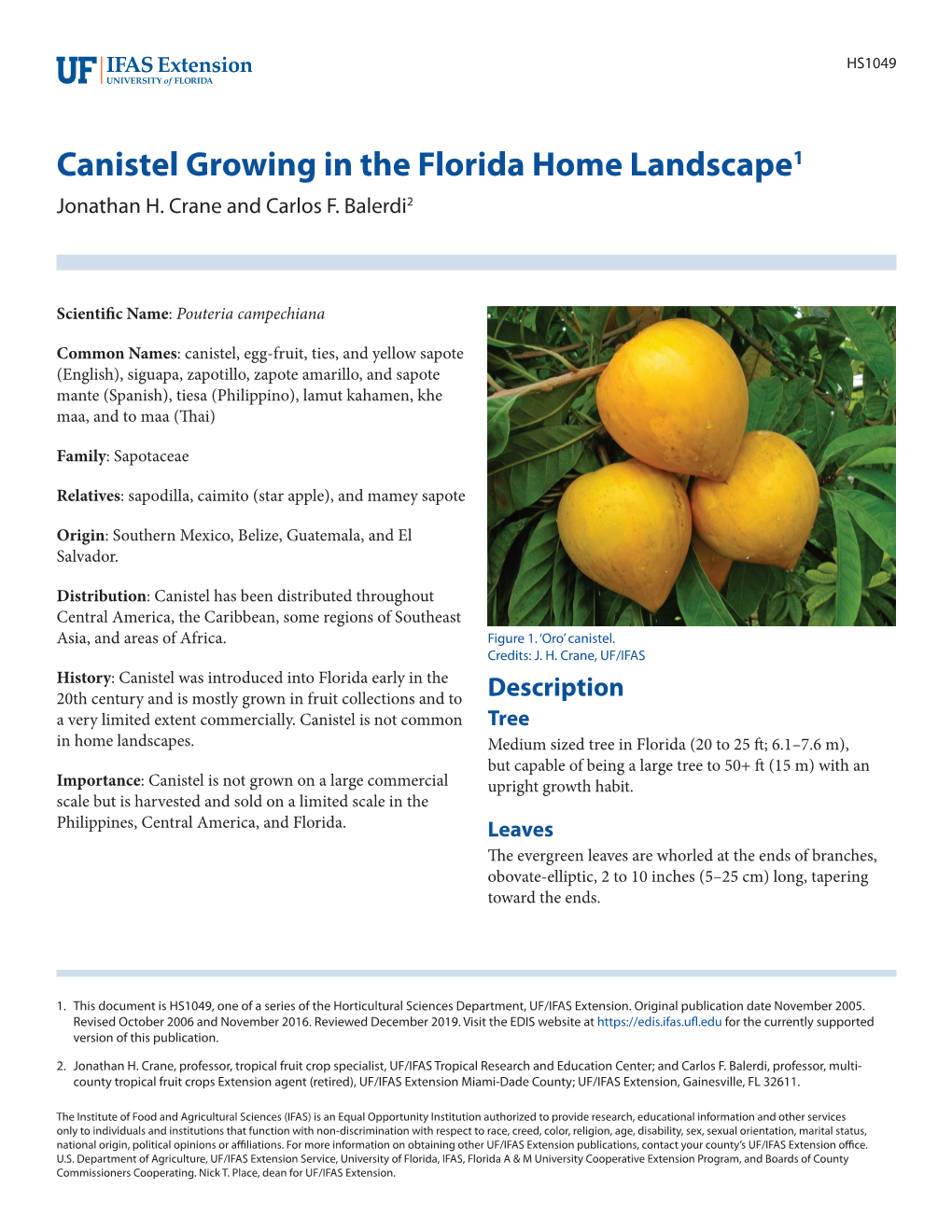 Canistel Growing in the Florida Home Landscape1 Jonathan H