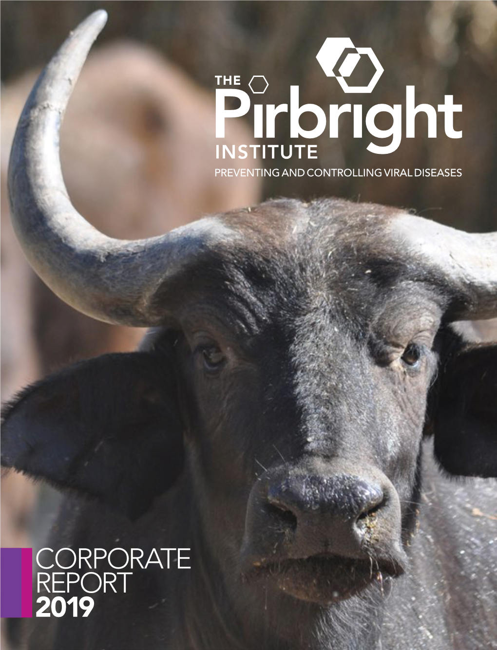 Corporate Report 2019 the Pirbright Institute Annual Report 2019 Director’S Welcome