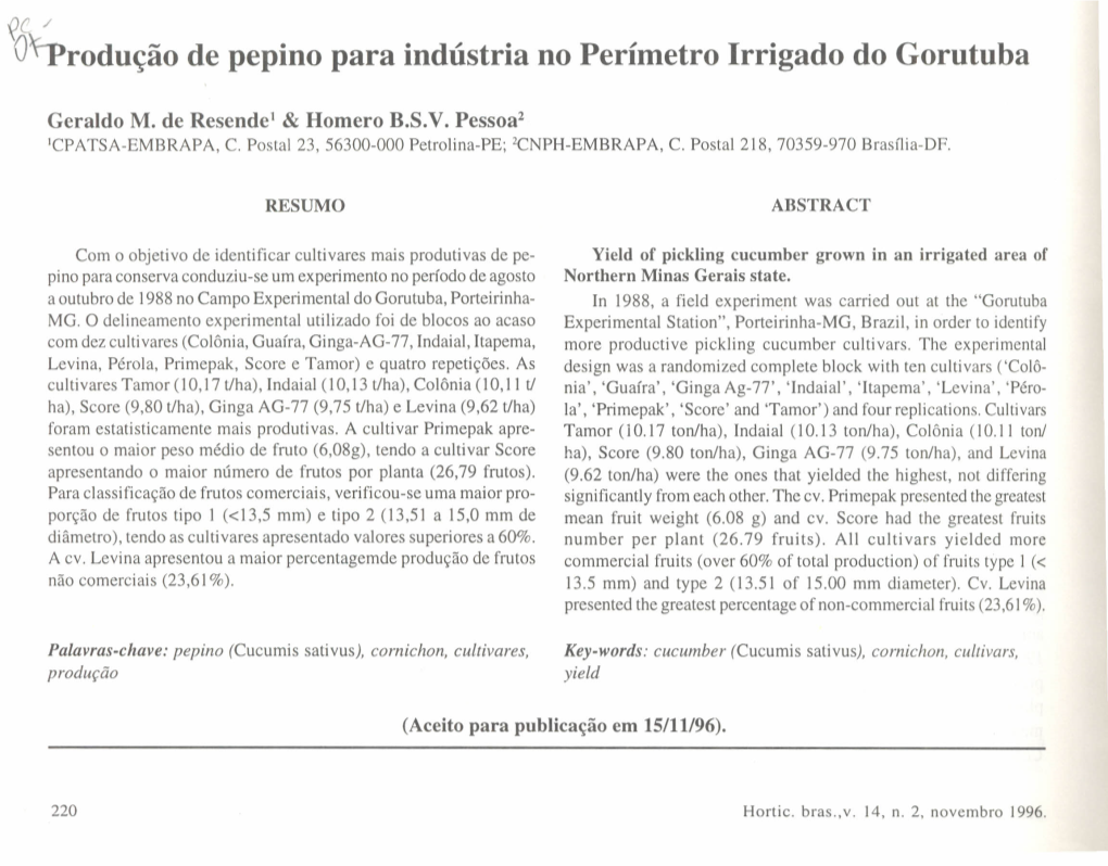 O'tprodução De Pepino Para Indústria No Perímetro Irrigado Do Gorutuba