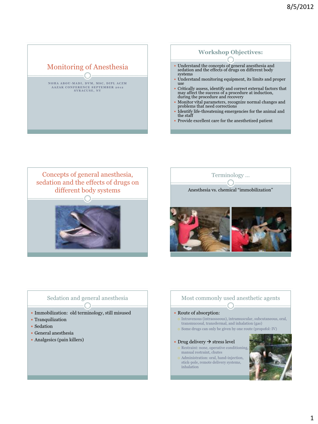 Monitoring Anesthesia