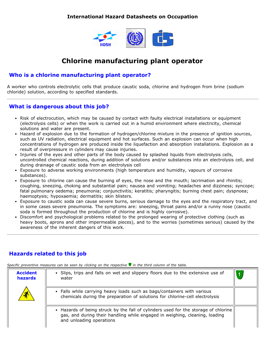 Chlorine Manufacturing Plant Operator