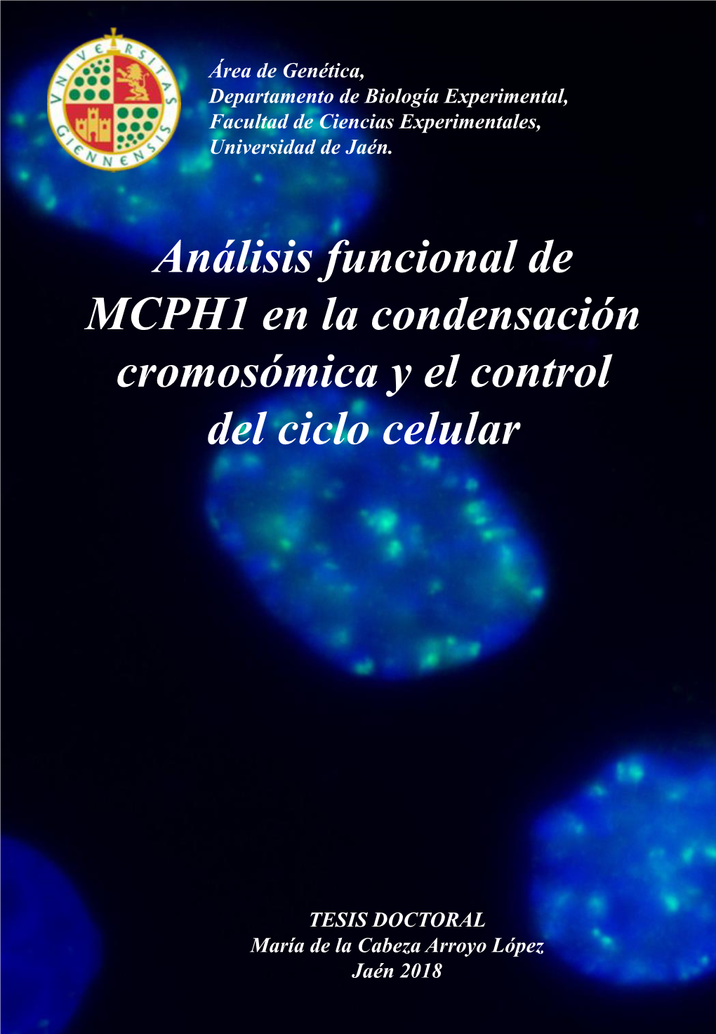 Análisis Funcional De MCPH1 En La Condensación Cromosómica Y El Control Del Ciclo Celular