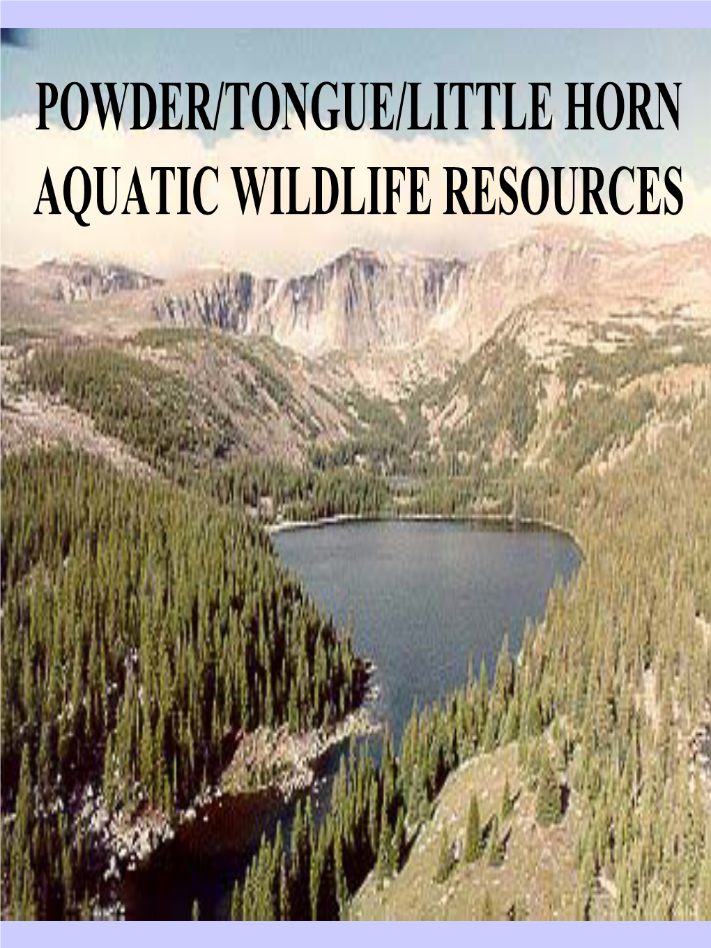 Powder/Tongue/Little Horn Aquatic Wildlife Resources