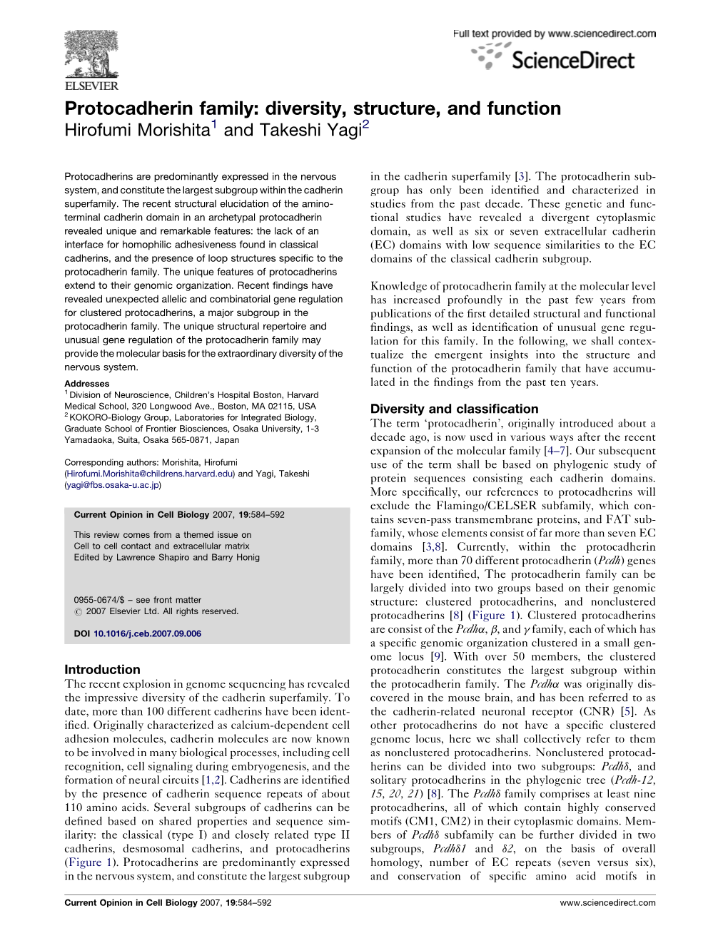 Protocadherin Family: Diversity, Structure, and Function Hirofumi Morishita1 and Takeshi Yagi2