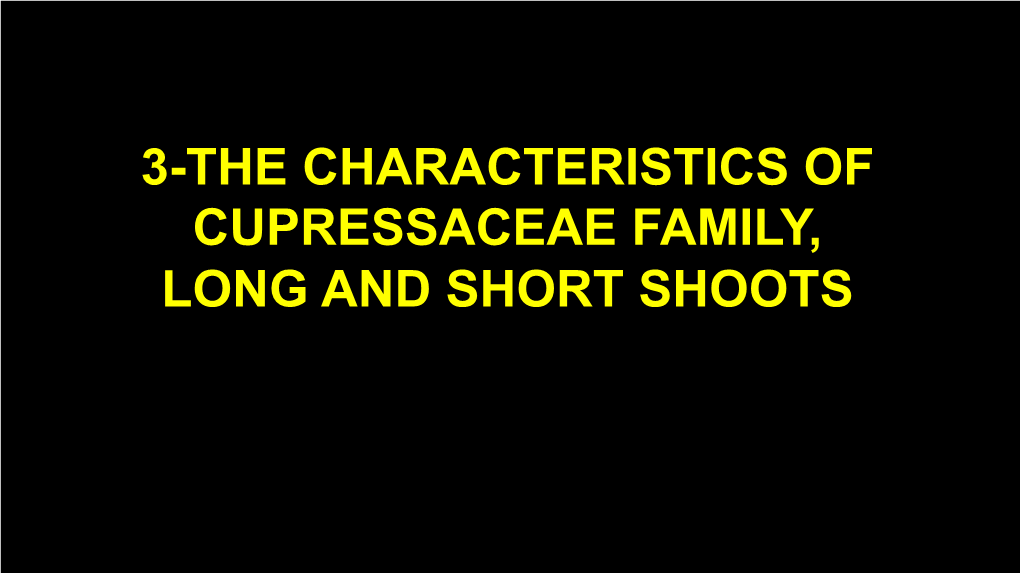 3-Characteristics of the Cupressaceae Family, Short Shoot and Long Shoot