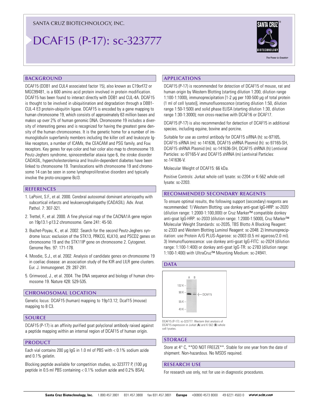 Datasheet Blank Template