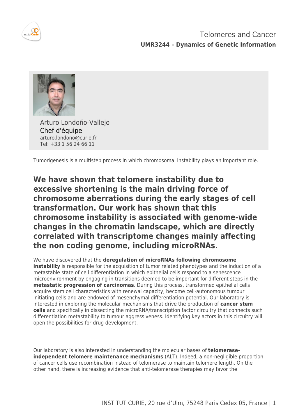 We Have Shown That Telomere Instability Due to Excessive Shortening Is the Main Driving Force of Chromosome Aberrations During the Early Stages of Cell Transformation