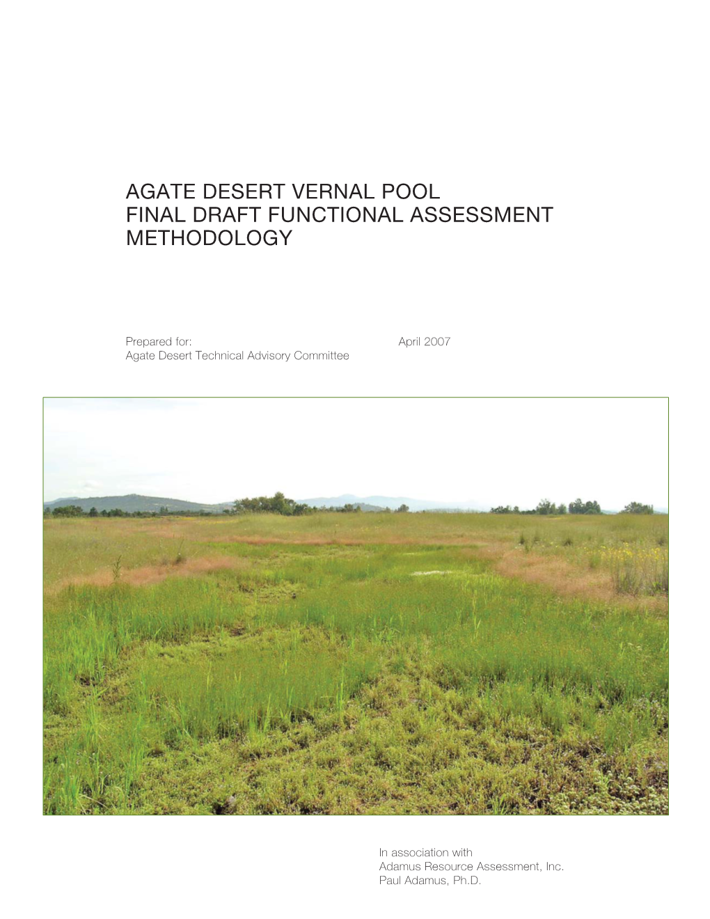 Agate Desert Vernal Pool Final Draft Functional Assessment Methodology