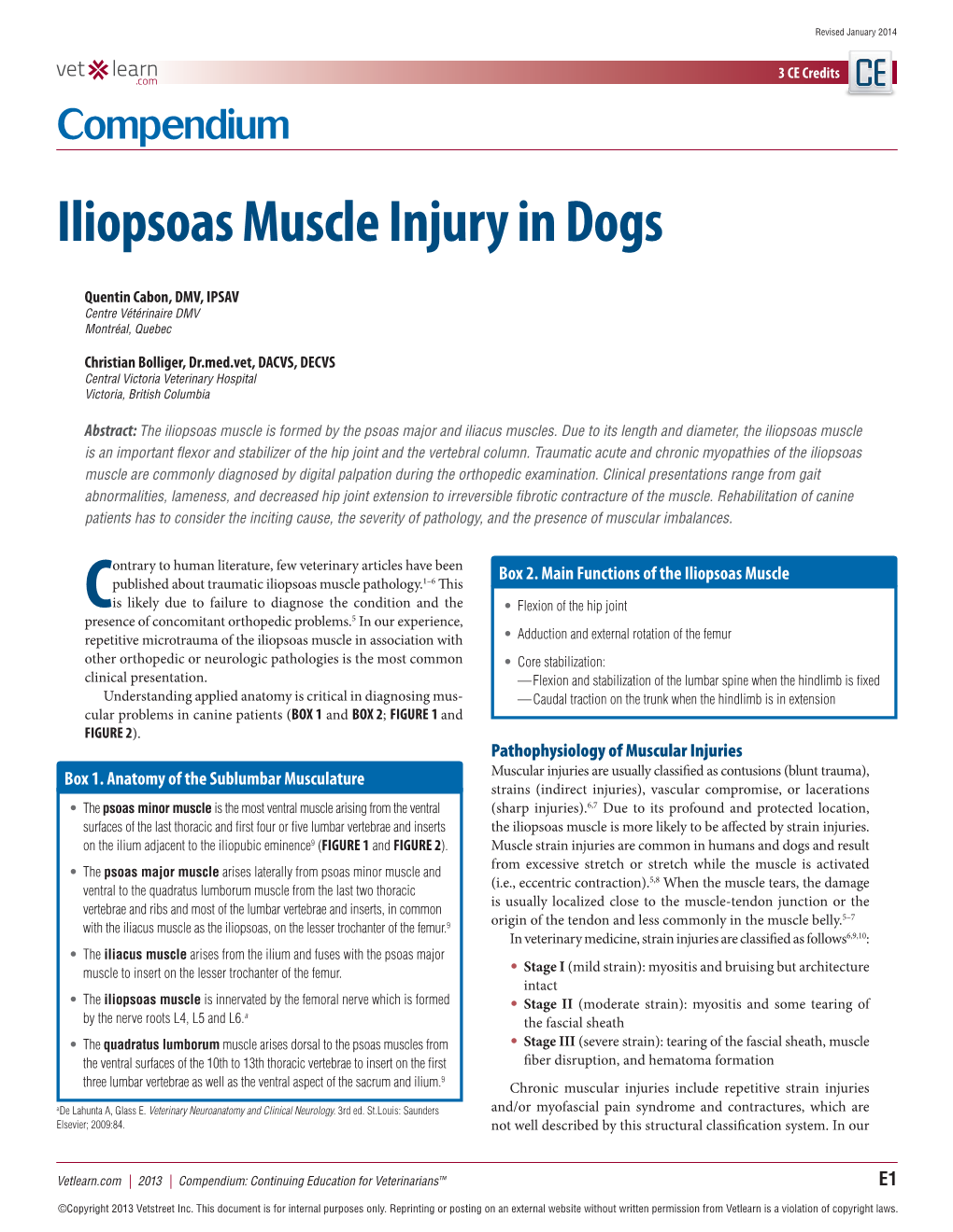 Iliopsoas Muscle Injury in Dogs