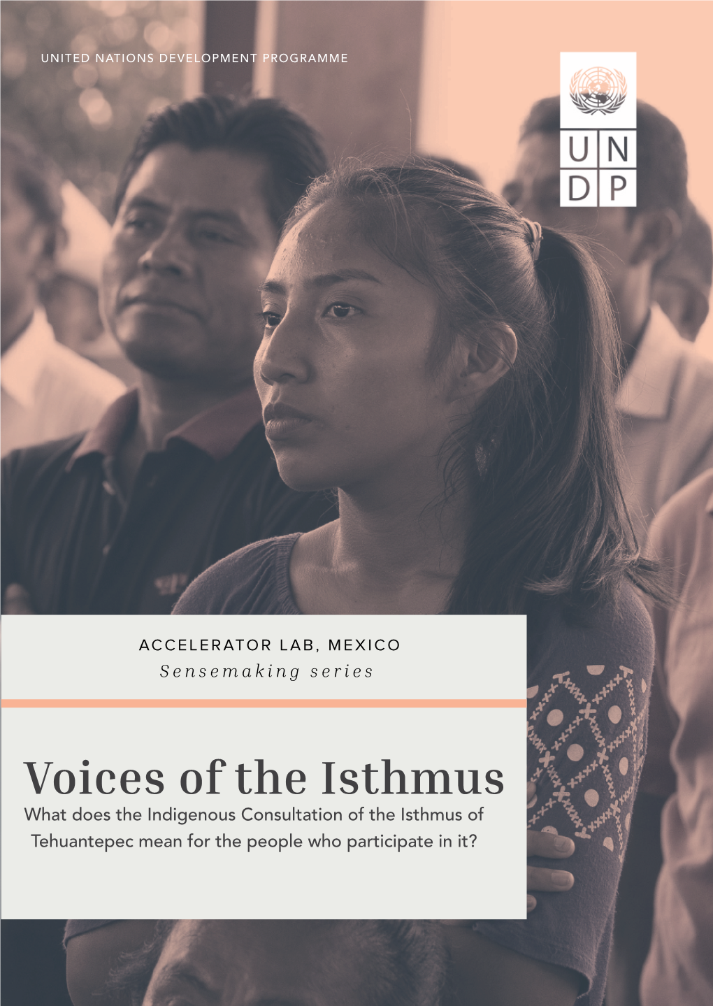 Voices of the Isthmus What Does the Indigenous Consultation of the Isthmus of Tehuantepec Mean for the People Who Participate in It?