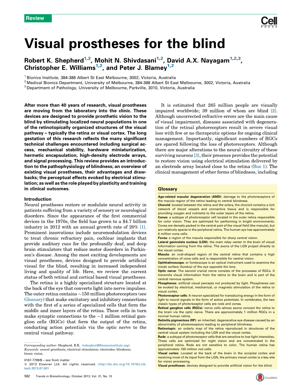 Visual Prostheses for the Blind