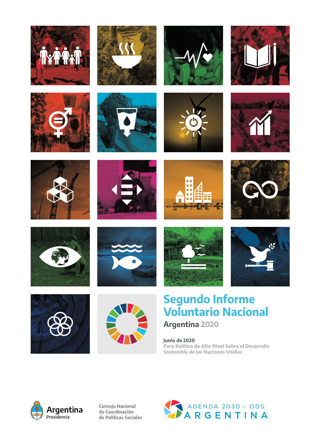 Segundo Informe Voluntario Nacional Argentina 2020