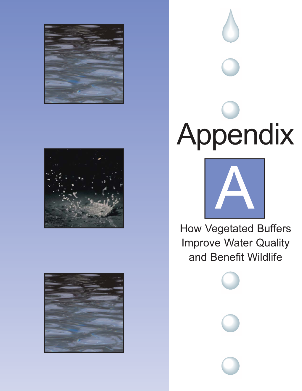 Appendix a How Vegetated Buffers Improve Water Quality and Benefit Wildlife