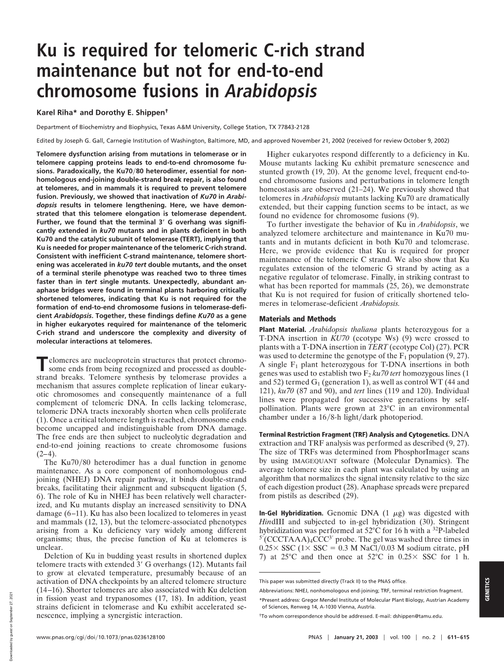 Ku Is Required for Telomeric C-Rich Strand Maintenance but Not for End-To-End Chromosome Fusions in Arabidopsis