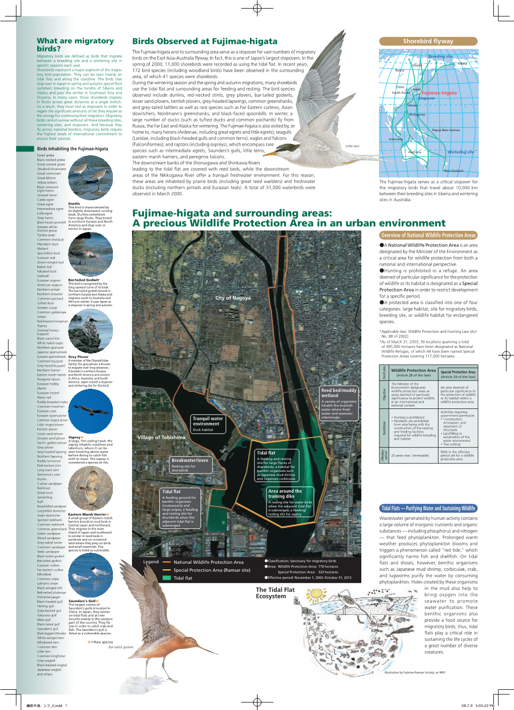 Fujimae-Higata and Surrounding Areas: a Precious Wildlife Protection