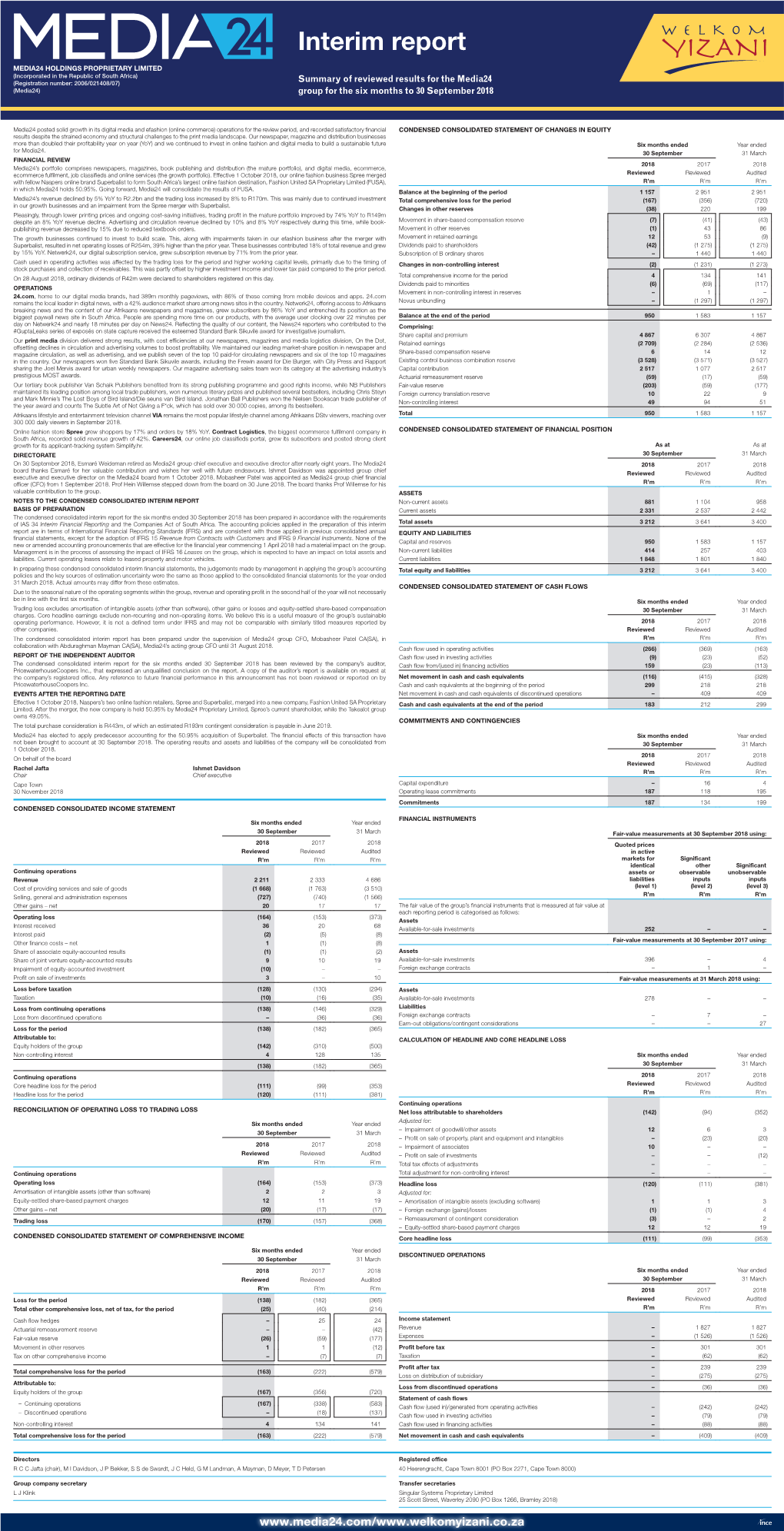 Interim Report