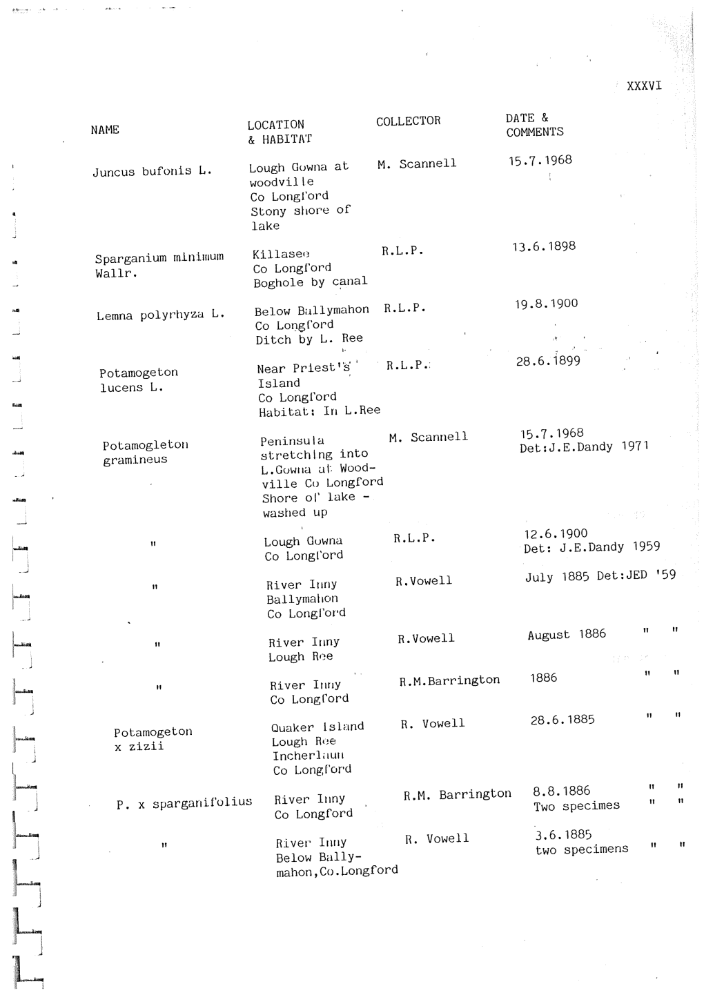 Meteorological Service