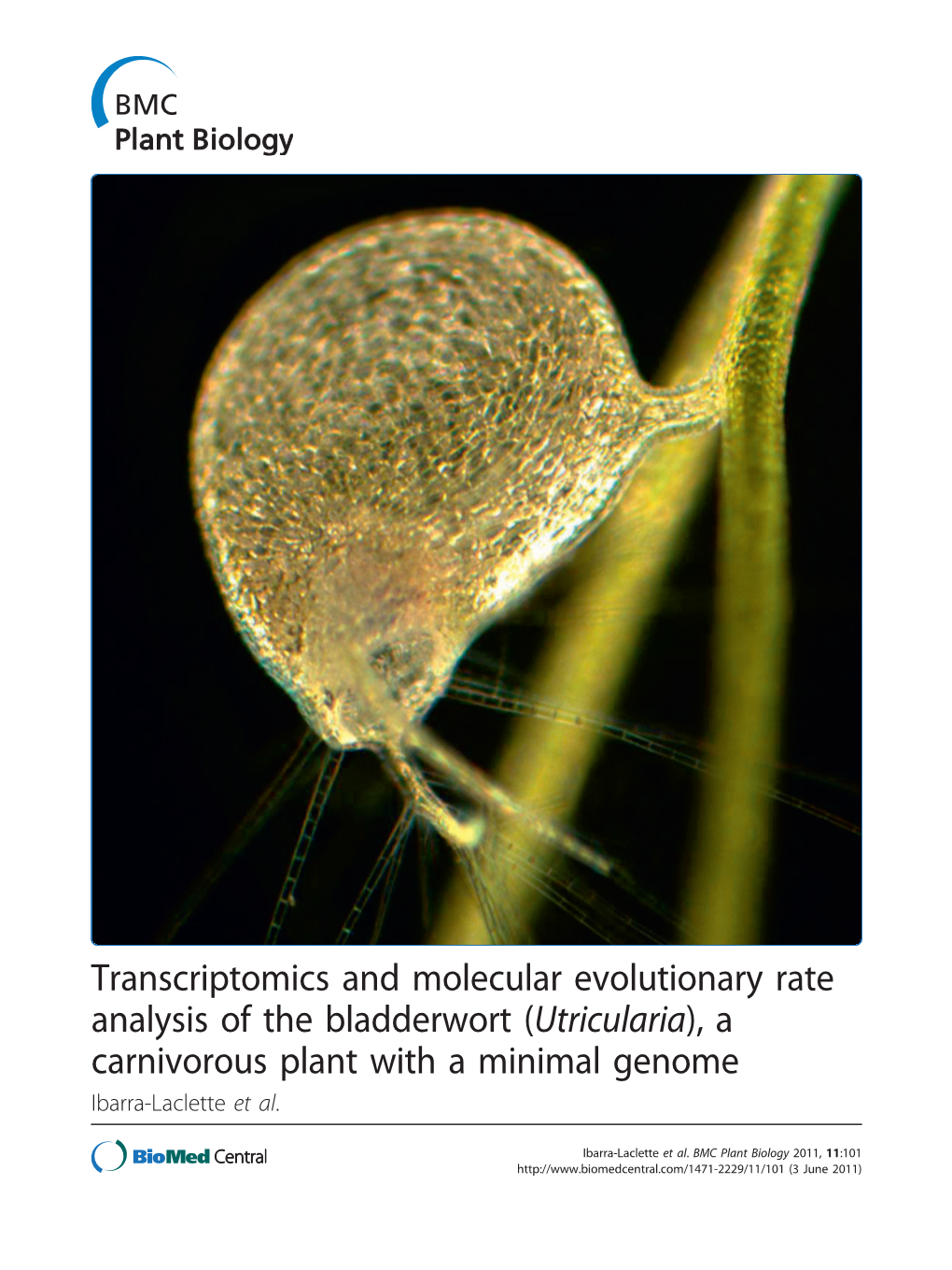 (Utricularia), a Carnivorous Plant with a Minimal Genome Ibarra-Laclette Et Al