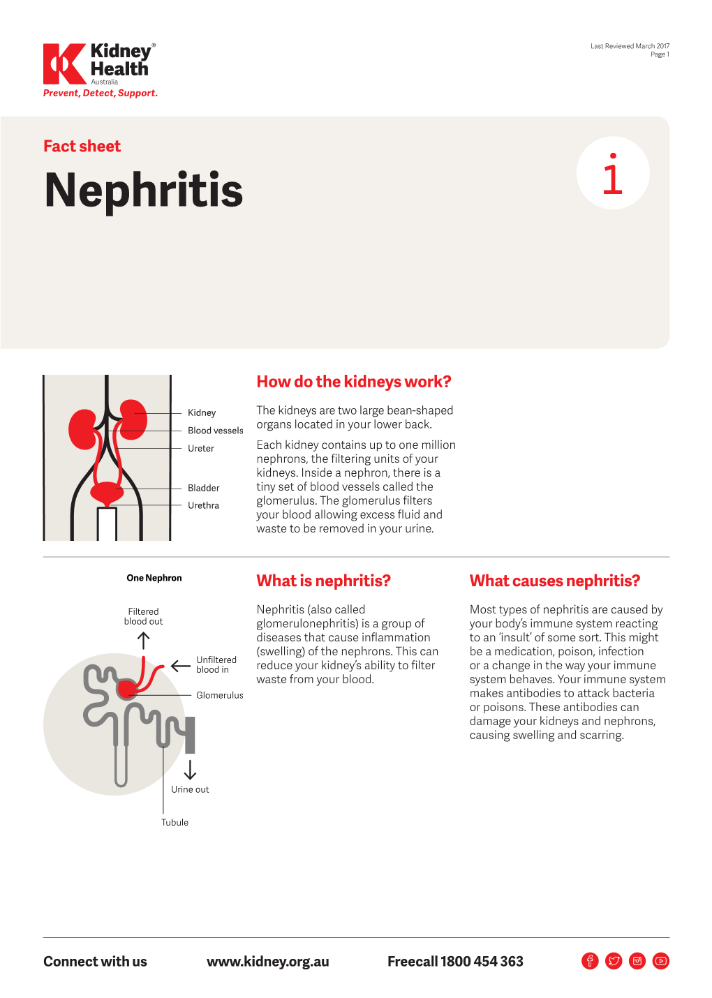 Nephritis Fact Sheet