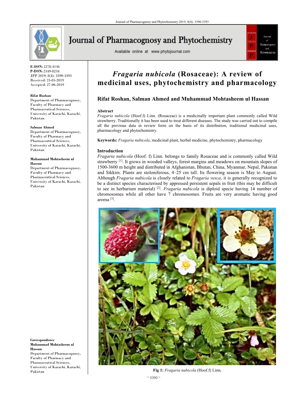Fragaria Nubicola (Rosaceae): a Review of Received: 25-05-2019 Accepted: 27-06-2019 Medicinal Uses, Phytochemistry and Pharmacology