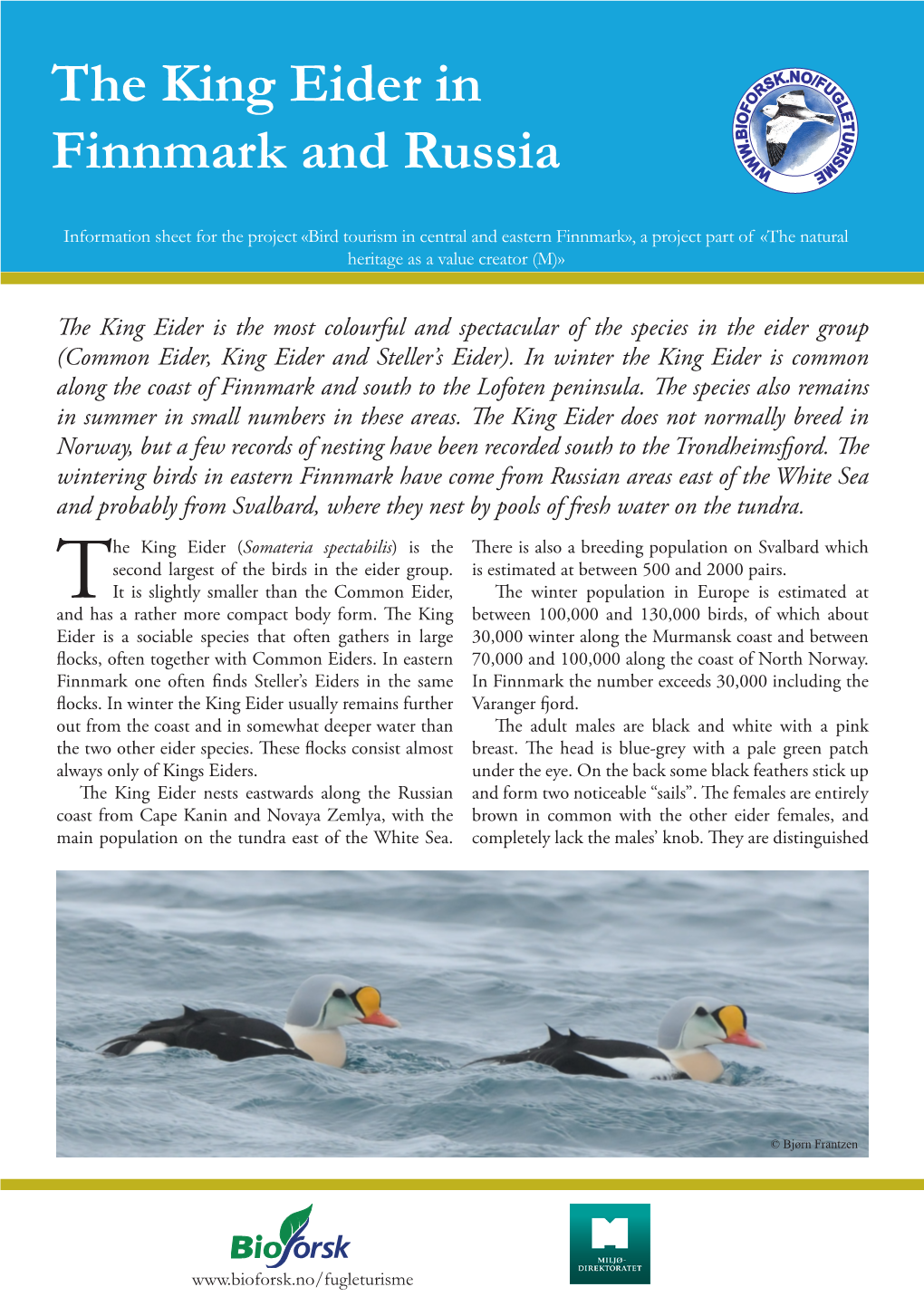 The King Eider in Finnmark and Russia