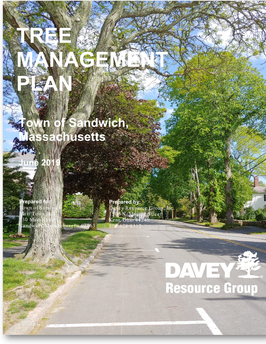 Tree Management Plan