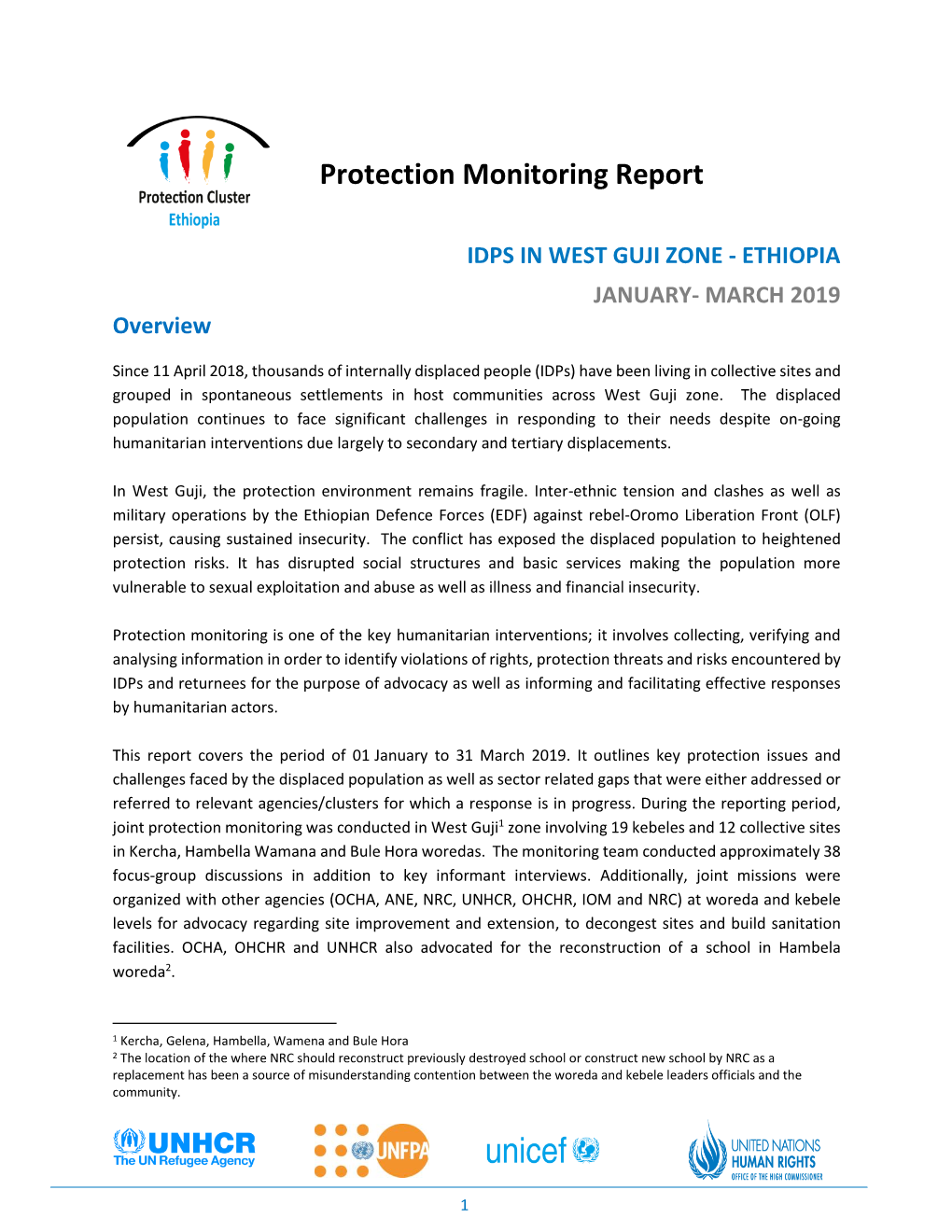 Joint UN IDP Protection Monitoring Report West Guji January