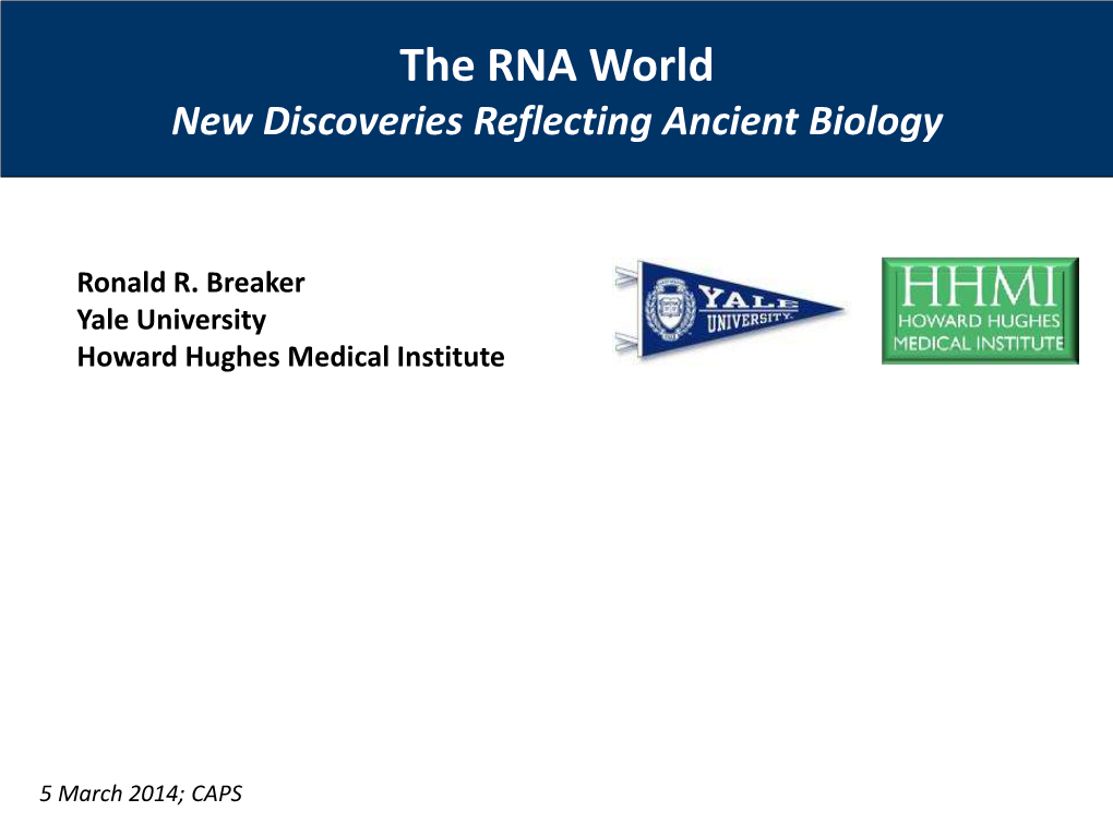 The RNA World New Discoveries Reflecting Ancient Biology