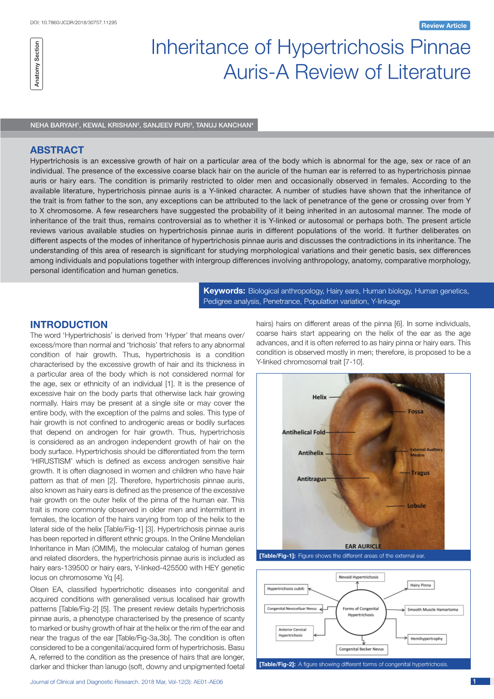 Inheritance of Hypertrichosis Pinnae Auris-A Review of Literature Anatomy Section