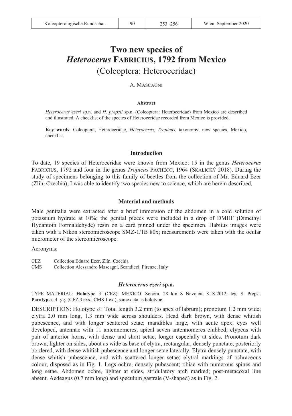 Two New Species of Heterocerus FABRICIUS, 1792 From