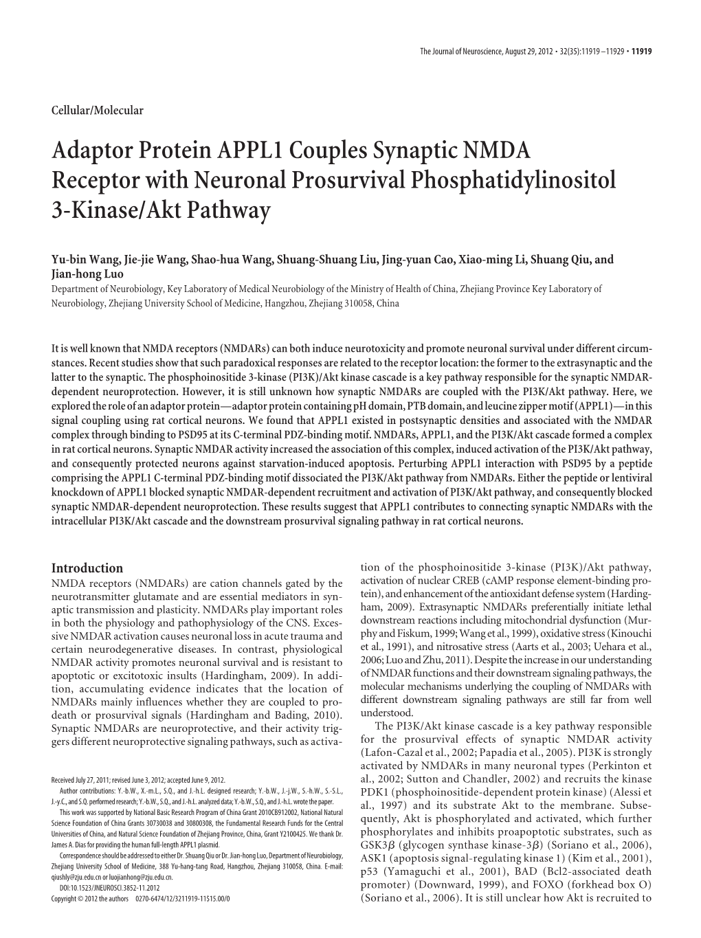 Adaptor Protein APPL1 Couples Synaptic NMDA Receptor with Neuronal Prosurvival Phosphatidylinositol 3-Kinase/Akt Pathway