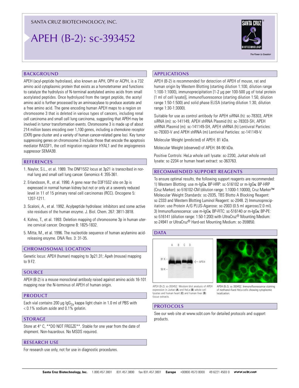 Datasheet Blank Template