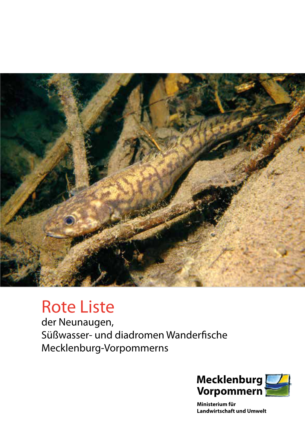 Rote Liste Der Neunaugen,Süßwasser- Und Diadromen Wanderfische Mecklenburg-Vorpommerns