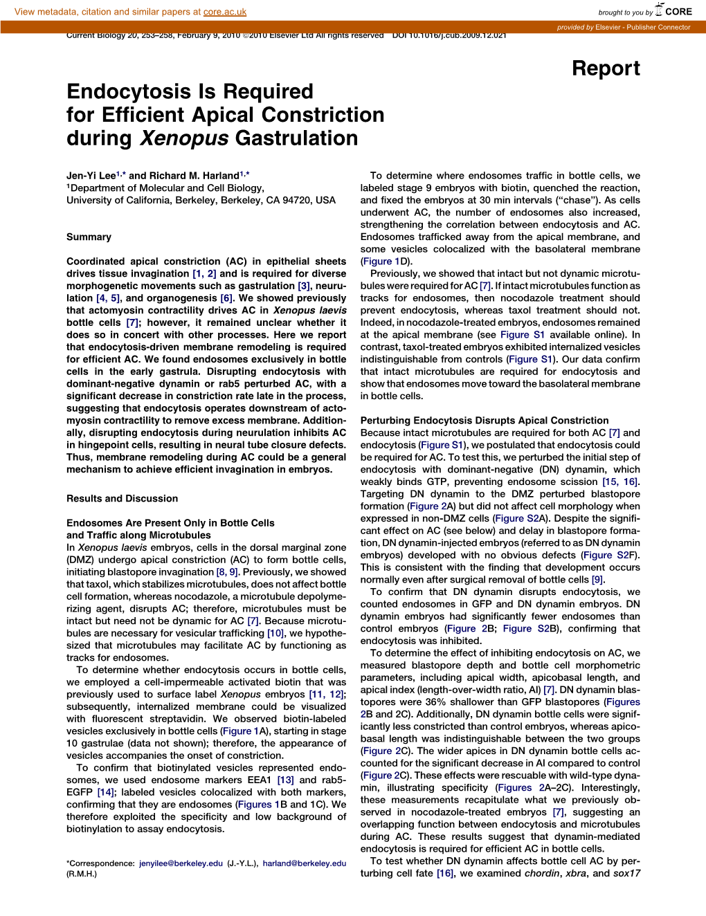 Endocytosis Is Required for Efficient Apical Constriction During Xenopus