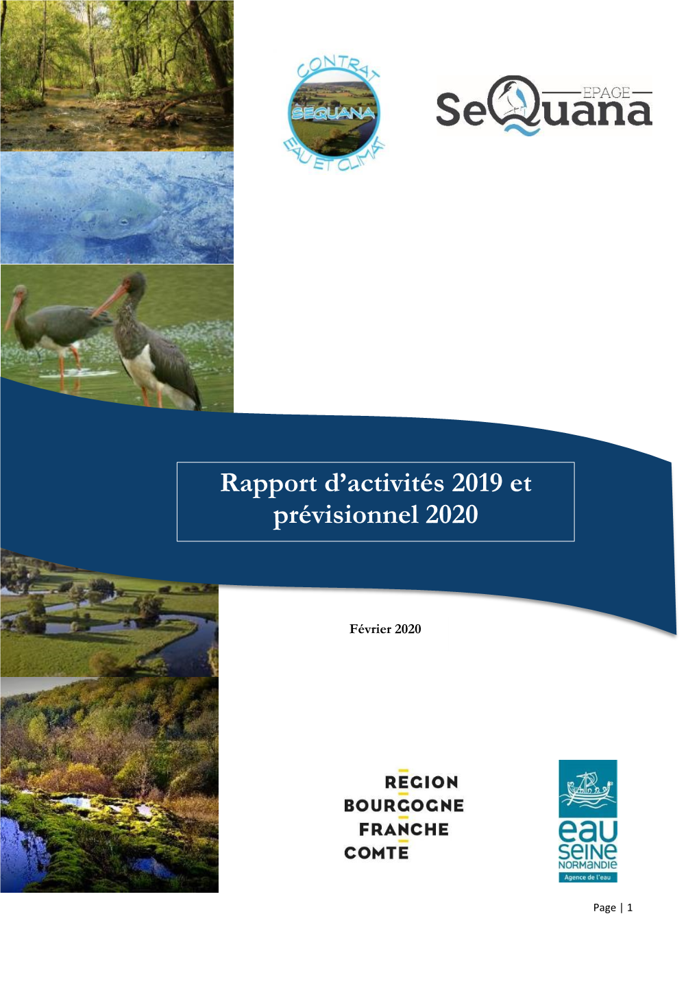 Rapport D'activités 2019 Et Prévisionnel 2020