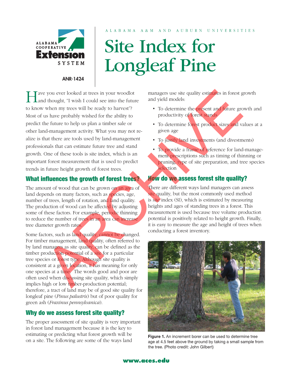 Site Index for Longleaf Pine ANR-1424