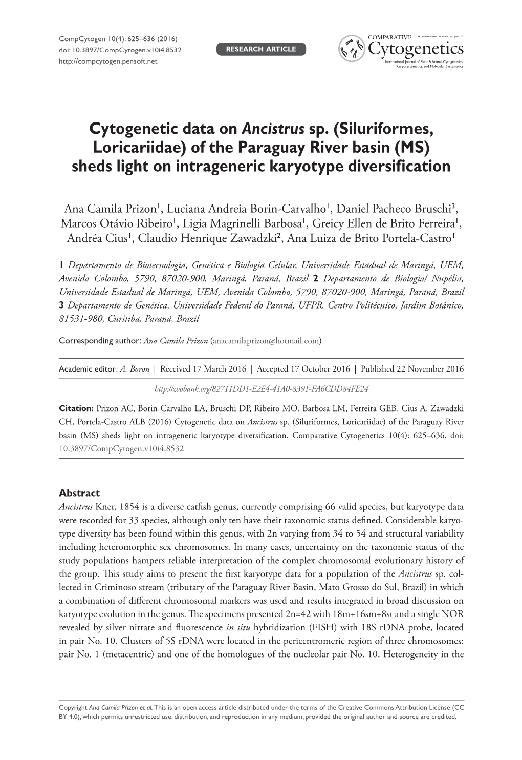 (Siluriformes, Loricariidae) of the Paraguay River Basin