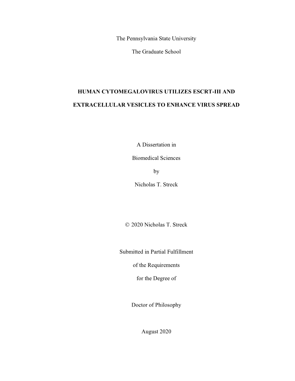 Open NS Final Dissertation.Pdf