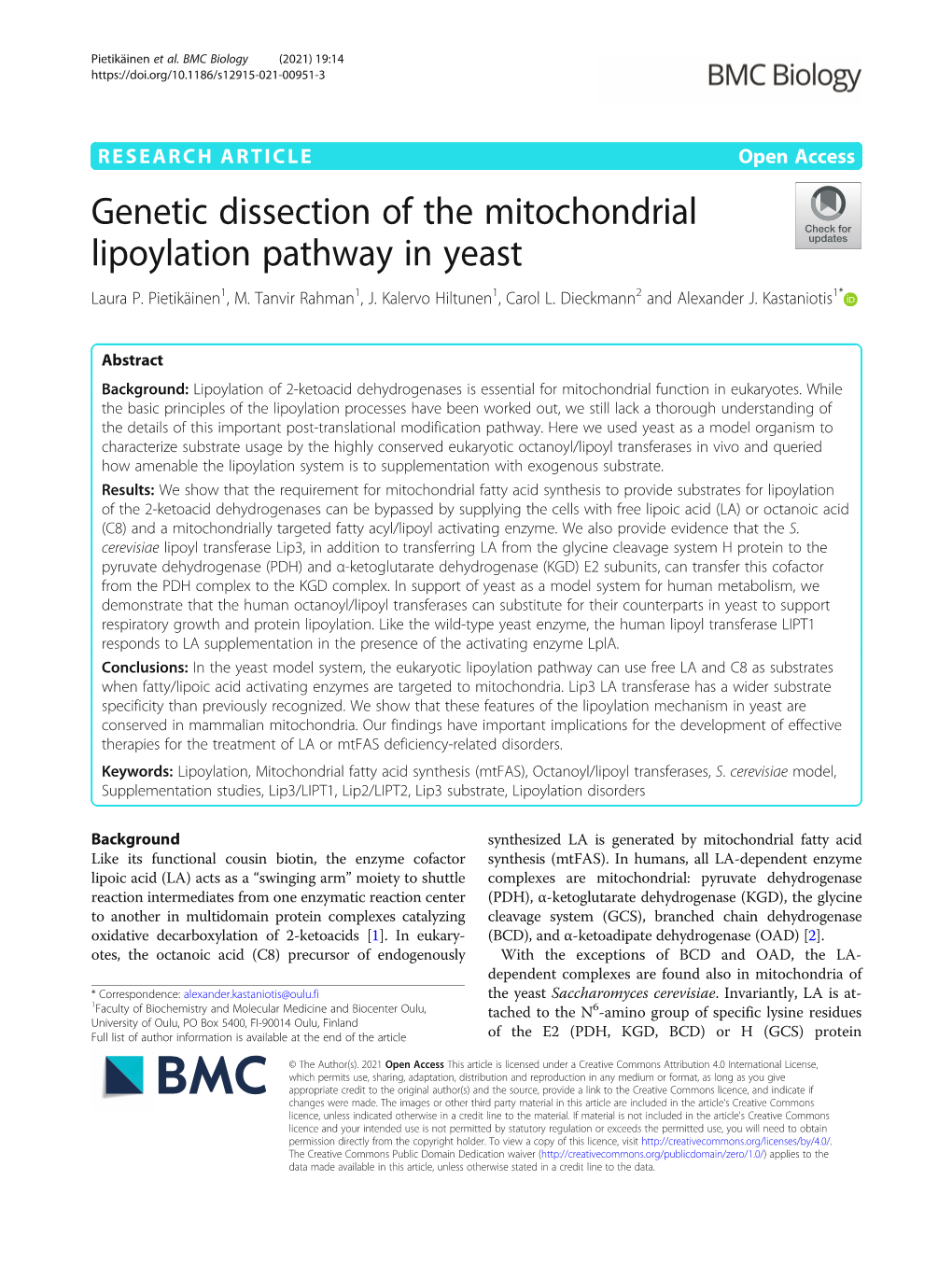 Genetic Dissection of the Mitochondrial Lipoylation Pathway in Yeast Laura P