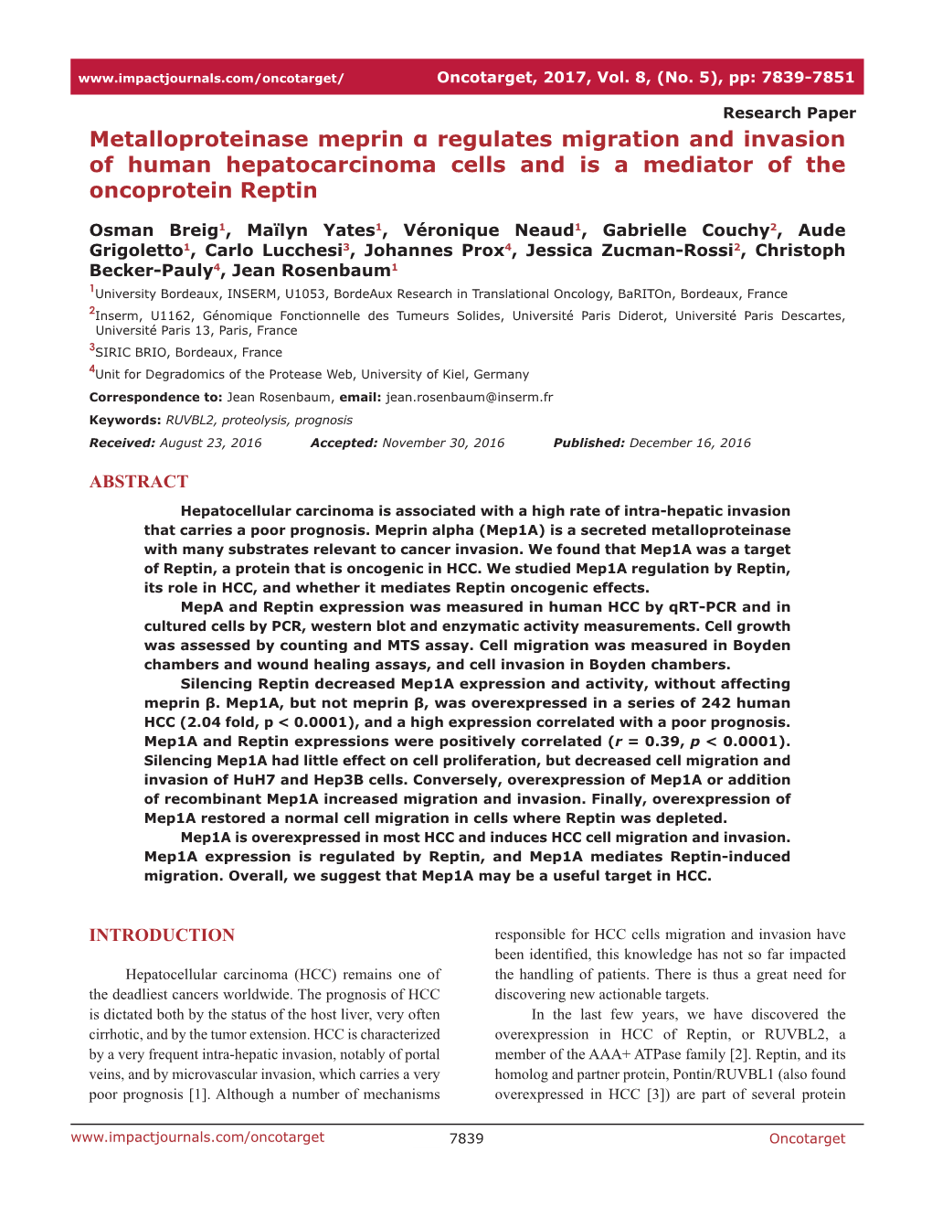 Metalloproteinase Meprin Α Regulates Migration and Invasion of Human Hepatocarcinoma Cells and Is a Mediator of the Oncoprotein Reptin